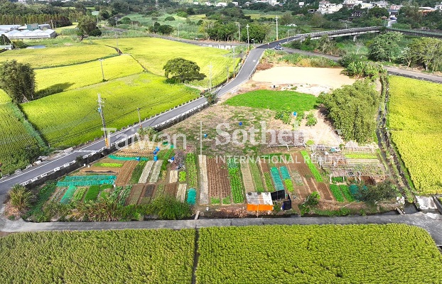 新埔黃金稻田超美農地1989坪現場實景